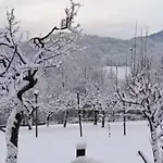 Belvedere 160 * فيلتري