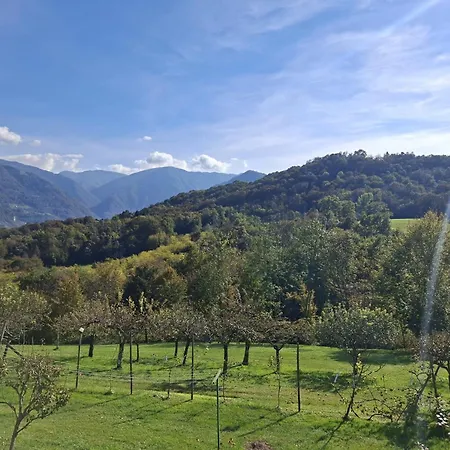 Belvedere 160