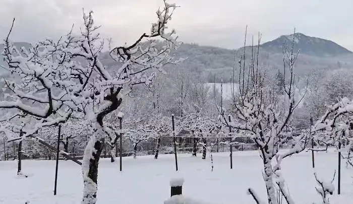 Belvedere 160 * Feltre